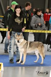 IMG_1624.jpg