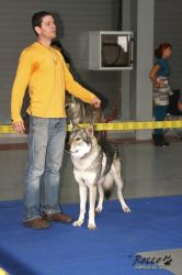 IMG_1629.jpg