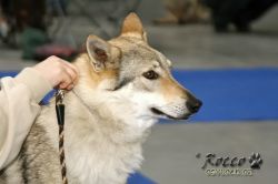 IMG_1645.jpg