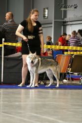 IMG_1498.jpg