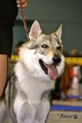 IMG_1502.jpg