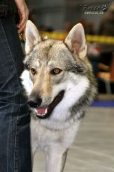 IMG_1514.jpg
