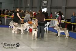 IMG_1524.jpg