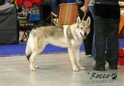 IMG_1525.jpg