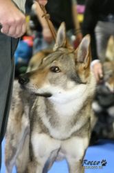 IMG_1529.jpg