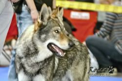 IMG_1535.jpg