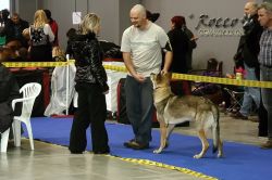 IMG_1538.jpg