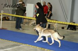 IMG_1553.jpg