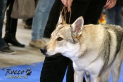 IMG_1579.jpg