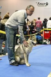 IMG_1581.jpg