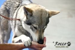 IMG_1587.jpg