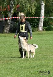 btara_posl02.jpg