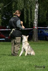 btara_posl04.jpg