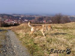 hradek07.jpg
