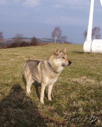 hradek08.jpg