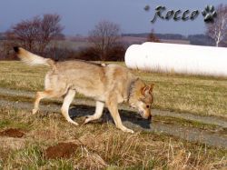 hradek09.jpg
