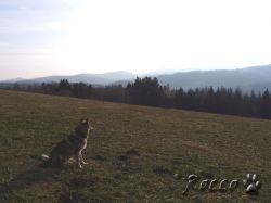 hradek12.jpg