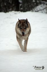 IMG_0029_.jpg