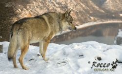 IMG_0055.jpg