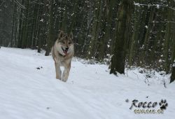 IMG_0058.jpg