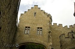 IMG_1342.jpg
