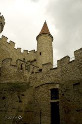 IMG_1343.jpg