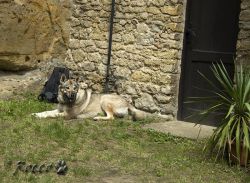 IMG_1364.jpg