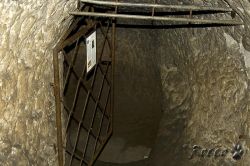 IMG_1369.jpg