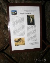 IMG_1375.jpg