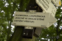 IMG_1386.jpg
