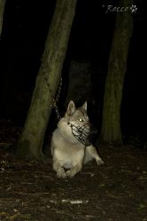 IMG_1408.jpg