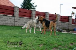 IMG_0344.jpg