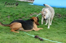 IMG_0355.jpg