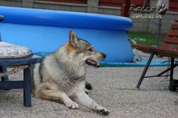 IMG_0383.jpg