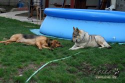 IMG_0386.jpg