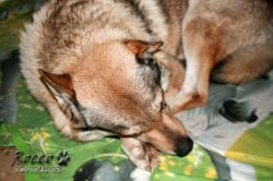 IMG_1680.jpg