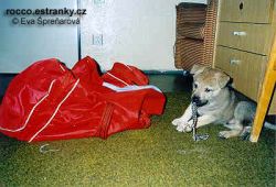 Retizek.jpg