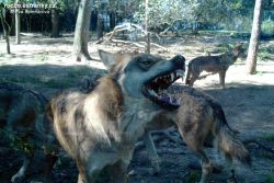 ZOO-011.jpg