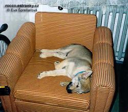 kreslospi.jpg