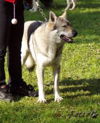 10_01atewa_vlci_legenda.jpg