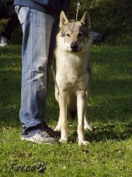 14_blade_z_maleho_raje02.jpg