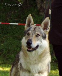 25_01unkas05.jpg