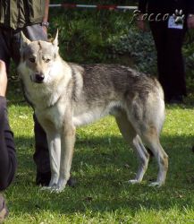 30_01aron_z_aljasky01.jpg