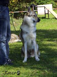 32_01brave_odin_sed.jpg