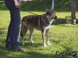 34_02darek_z_udoli_ticha01.jpg