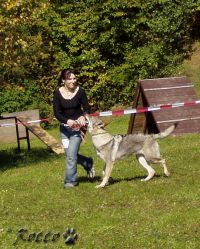42_02annie_z_holstejna_pohy.jpg