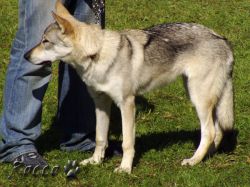 45_02bonnie_osada_draklem04.jpg