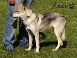 45_03bonnie_osada_draklem07.jpg
