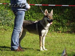 49_02alina_vom_raunjak_hof0.jpg