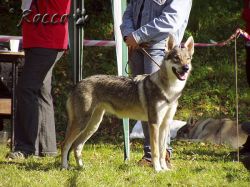 49_03alina_vom_raunjak_hof0.jpg